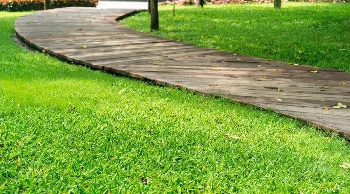 Outdoor Makeover: Best-Lawn-Treatments-In-Atlanta