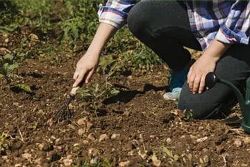 Proper Soil Preparation